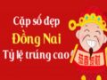 Thống kê XSDN 01-06-2022- Thống kê Xổ Số Đồng Nai Thứ 4