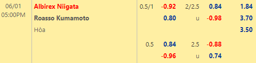 Tỷ lệ kèo giữa Albirex Niigata vs Roasso Kumamoto
